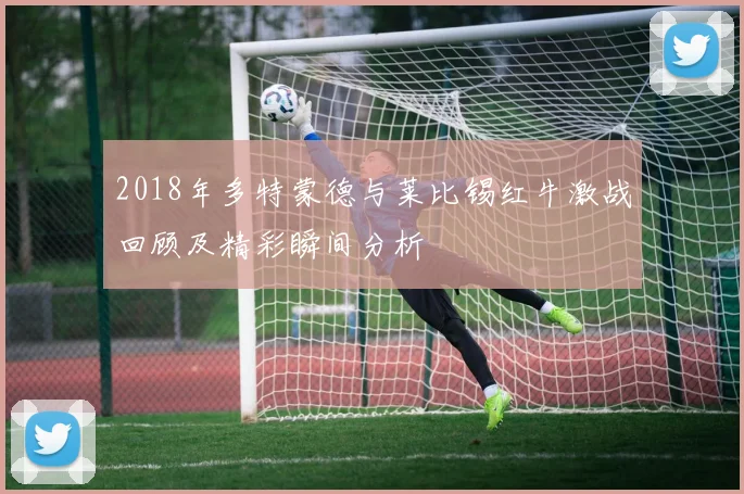 2018年多特蒙德与莱比锡红牛激战回顾及精彩瞬间分析