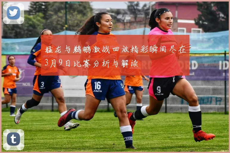 猛龙与鹈鹕激战回放精彩瞬间尽在3月9日比赛分析与解读