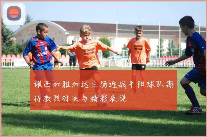 佩西加雅加达主场迎战平阳球队期待激烈对决与精彩表现