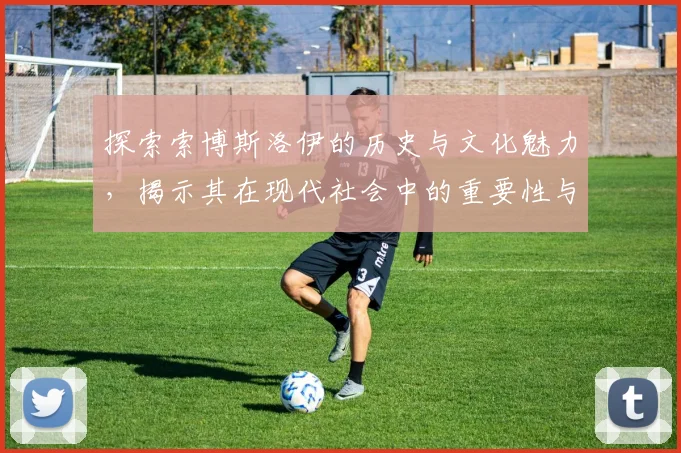 探索索博斯洛伊的历史与文化魅力，揭示其在现代社会中的重要性与影响力